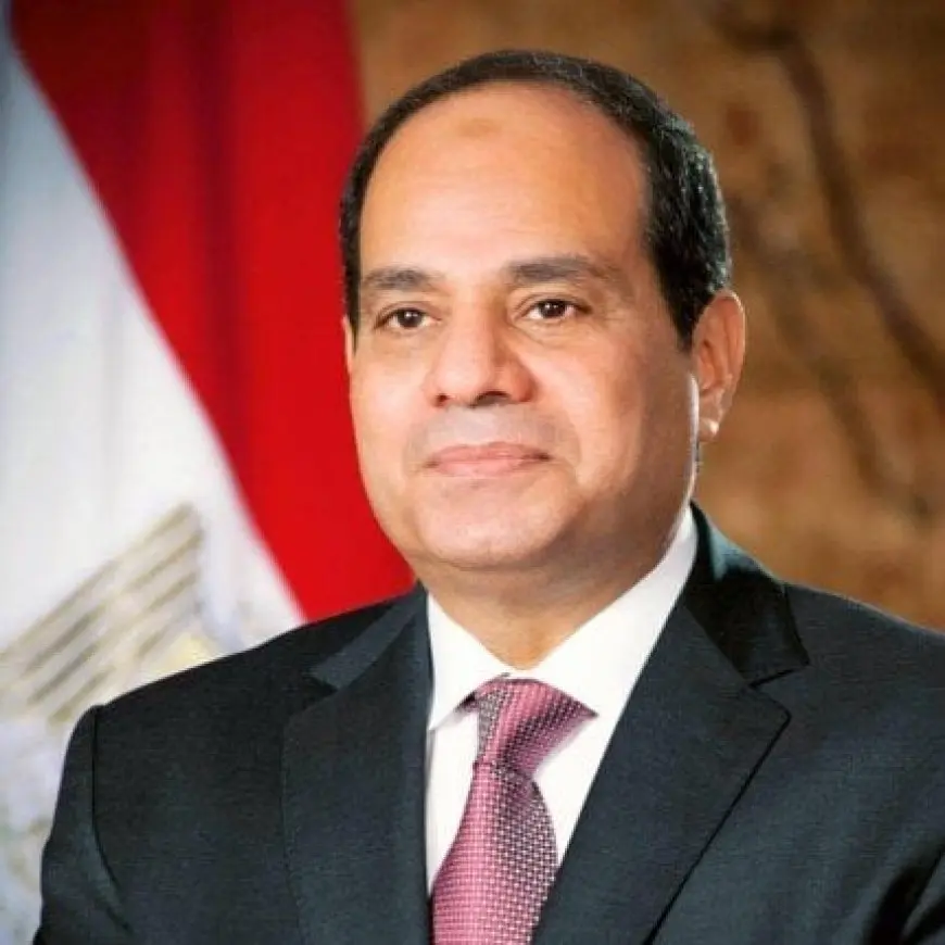 الرئيس السيسي يؤكد ضرورة تضافر جهود المجتمع الدولي لوقف هذا التصعيد بالأراضي الفلسطينية