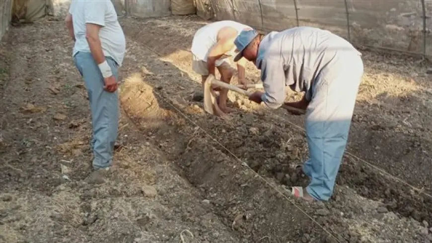 المركزية لمكافحة الآفات تستعد مبكرا لموسم الزراعة الشتوي