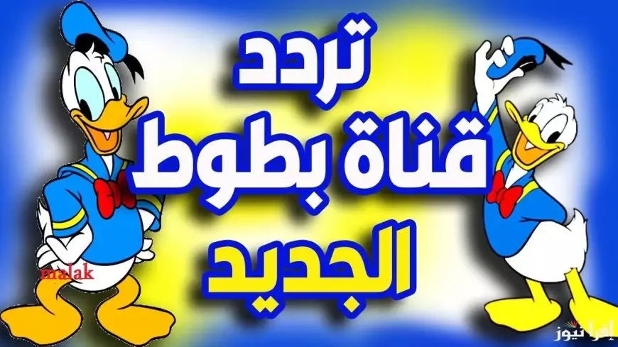 استقبل تردد قناة بطوط 2025 الجديد على النايل سات والعرب سات وخلي أطفالك تستمتع