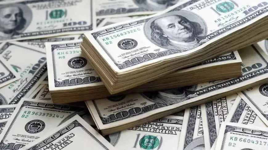 سعر الدولار اليوم مقابل الجنيه المصري الاحد 19-1-2025 بالبنوك والسوق السوداء .. بيع وشراء