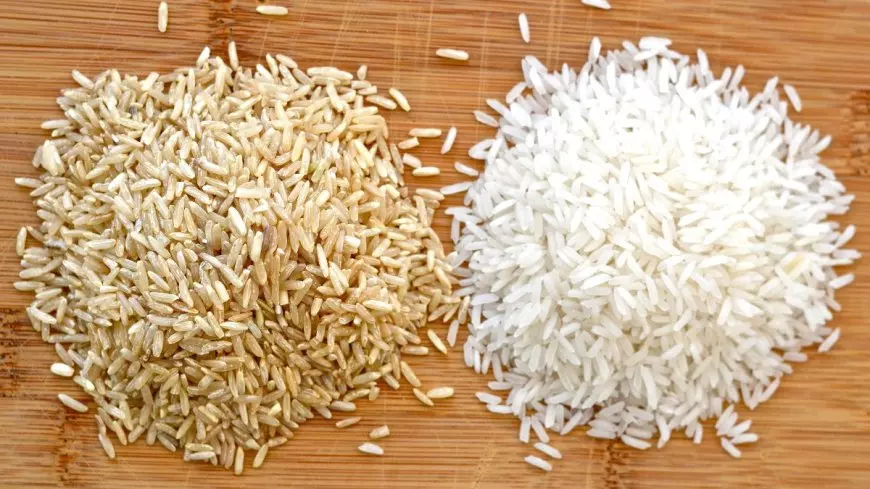 “رفيع وعريض الحبة” سعر طن الأرز الشعير اليوم الإثنين 20 يناير 2025 وفقاً لأخر تحديث