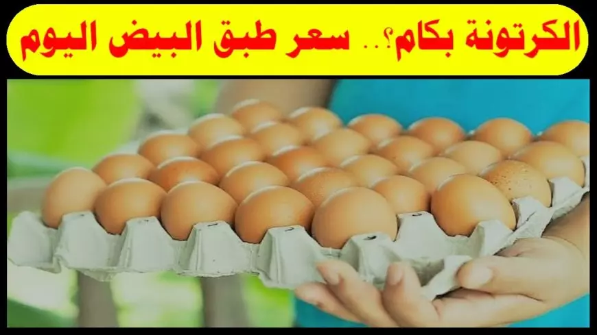 (احمر، ابيض) سعر كرتونة البيض اليوم للمستهلك في الاسواق المصرية