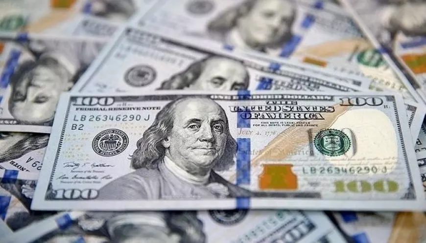 سعر الدولار أمام الجنيه اليوم الأربعاء 22 يناير 2025