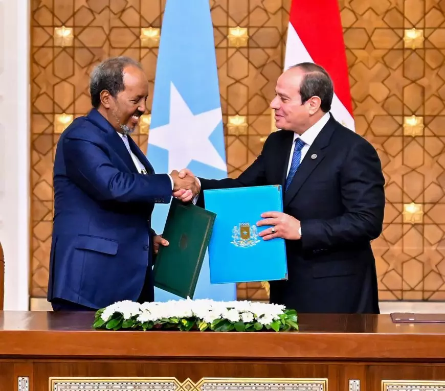 إعلان سياسي مشترك لترفيع العلاقات بين مصر والصومال.. 6 مجالات تعاونية