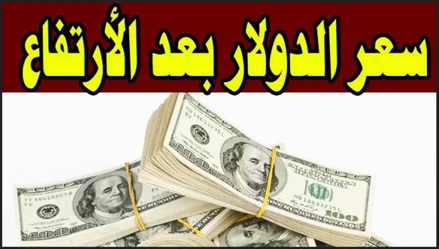 سعر الدولار اليوم الجمعة 22 أغسطس 2025 يقفز لمستويات تاريخية أمام الجنيه المصري وتوقعات جديدة لحركة السوق
