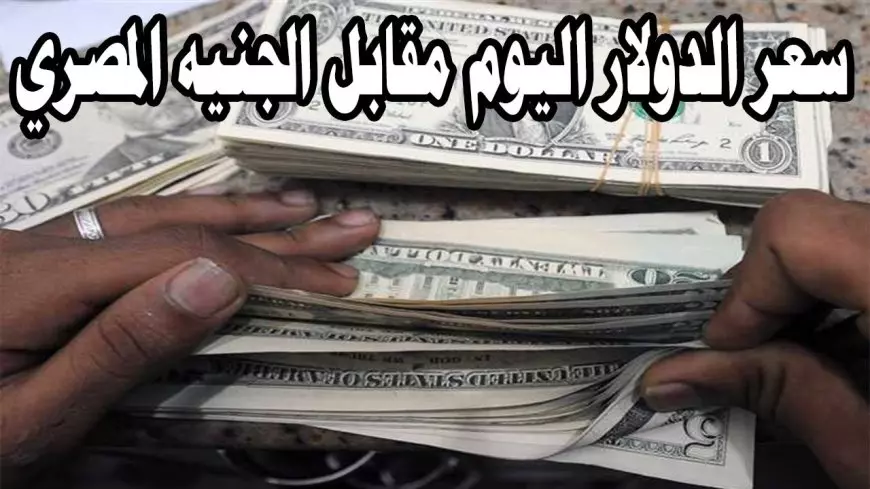 سعر الدولار اليوم في السوق السوداء الجمعة 14 فبراير 2025 اسعار الدولار في البنوك