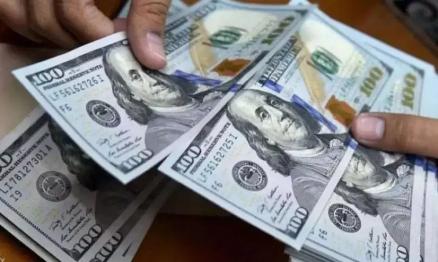سعر الدولار اليوم في مصر الاحد 20 يوليو 2025 اسعار الدولار في السوق السوداء واستقرار نسبي بالبنوك
