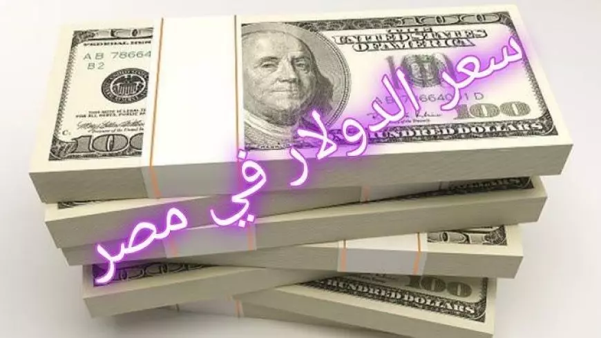 سعر الدولار اليوم في مصر مقابل الجنيه المصري في البنوك وداخل تعاملات البنك الاهلي وبنك مصر