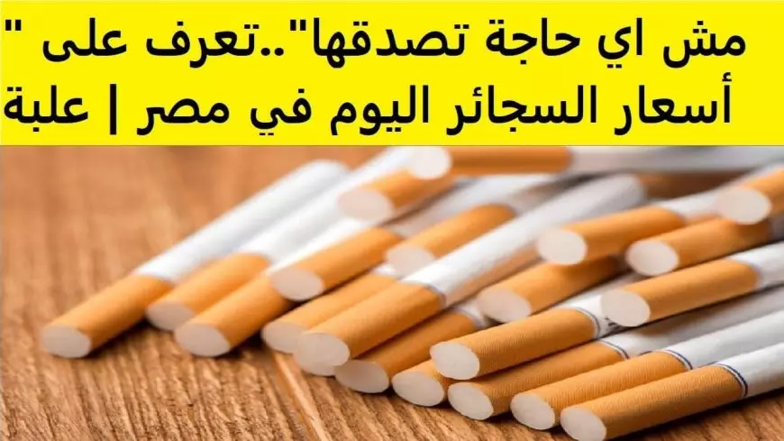 أسعار السجائر الجديدة في مصر بعد قرار «الشرقية للدخان».. قائمة كاملة للتحديثات الأخيرة