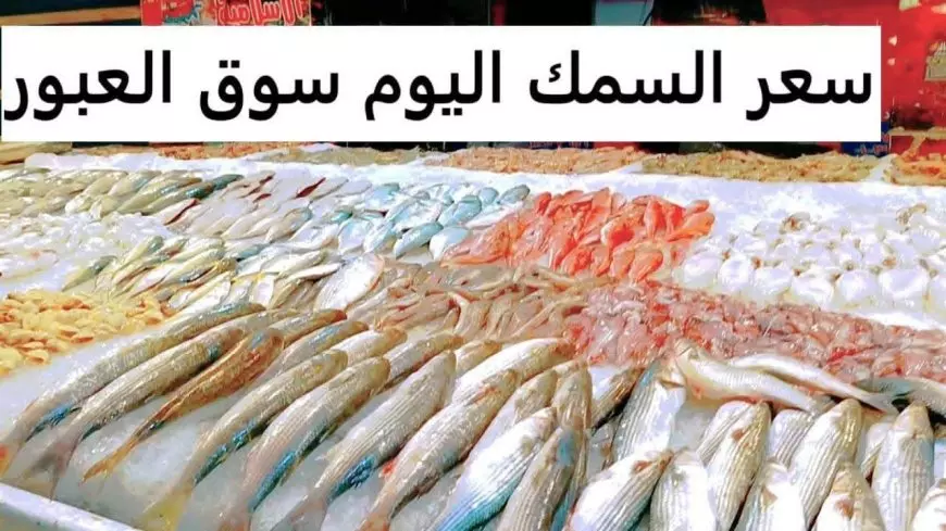 أسعار السمك اليوم الأربعاء 16 يوليو 2025 في سوق العبور.. ارتفاعات ملحوظة في بعض الأصناف شهدت أس