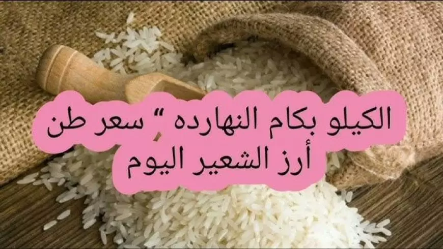 أسعار الأرز في مصر اليوم الجمعة 4 يوليو 2025.. انخفاض محدود وسط هدوء في الطلب