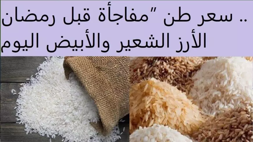 سعر الأرز الشعير اليوم الأربعاء 20 أغسطس 2025 واستقرار الأسعار في الأسواق المصرية