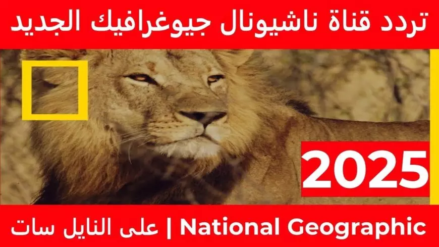تردد قناة ناشيونال جيوغرافيك 2025 الجديد على نايل سات وعرب سات لمتابعة أفضل البرامج الوثائقية