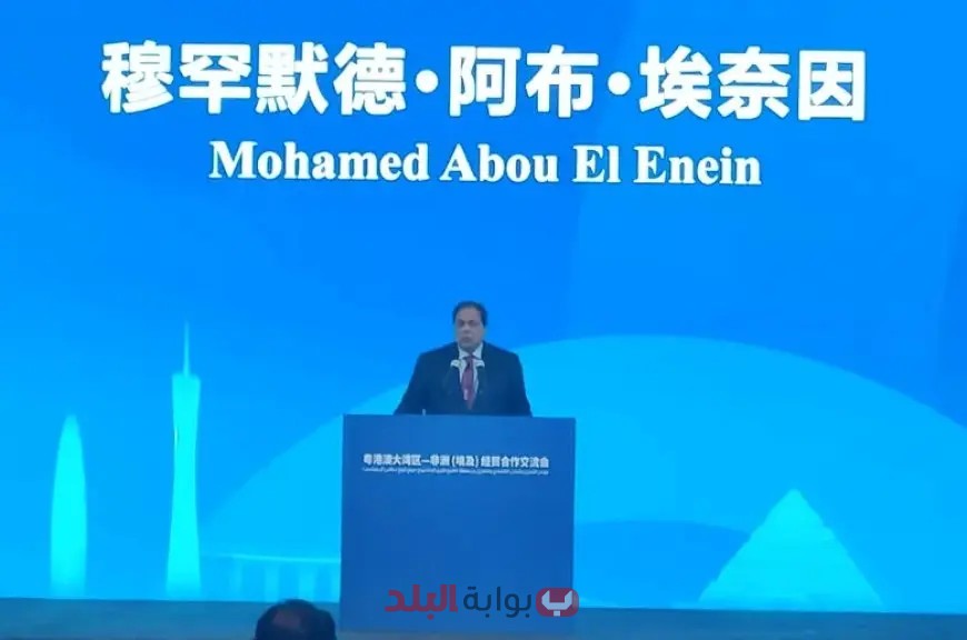 ابو العينين يكشف فرص الاستثمار المذهلة في مصر أمام رجال الأعمال الصينيين!