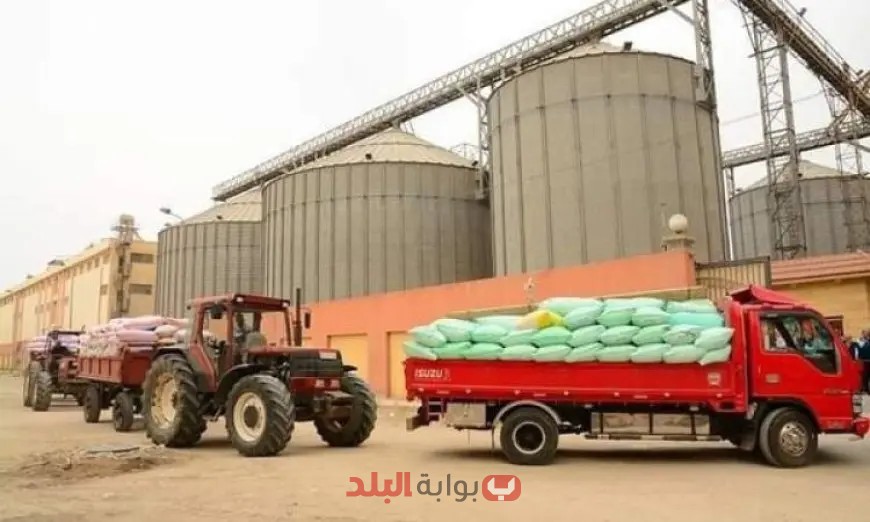“كسر حاجز الـ 37 ألف طن من القمح في الإسماعيلية! اكتشف التفاصيل الآن”