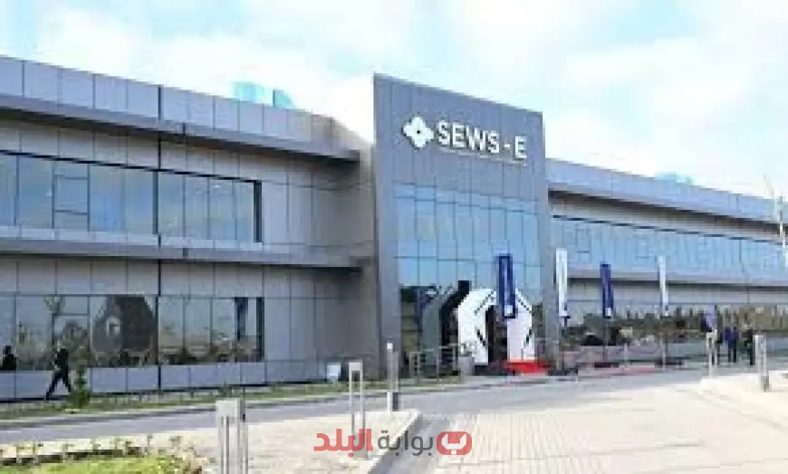 كشف حصري: شركة سوميتومو تحقق أرقام قياسية بصادرات بقيمة 300 مليون دولار من مصر