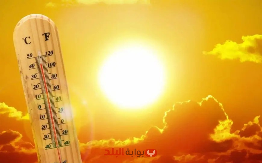 الكشف الحصري: درجات الحرارة القياسية لليوم في القاهرة تصل إلى 31 درجة!