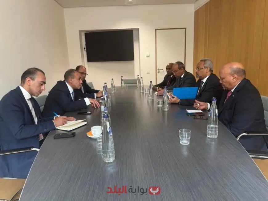 اجتماعات مجلس الأعمال المصري الجيبوتي: خطة جريئة لتعزيز التجارة المزدهرة!