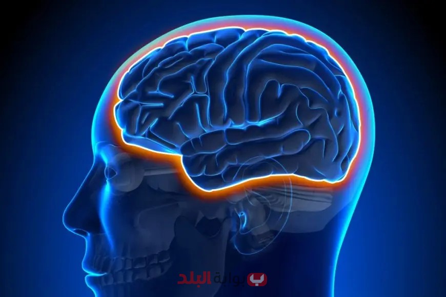 المجلس الأعلى للإعلام يصدر توجيهات ساخنة حول المحتوى حول السرطانات: تعرف عليها الآن