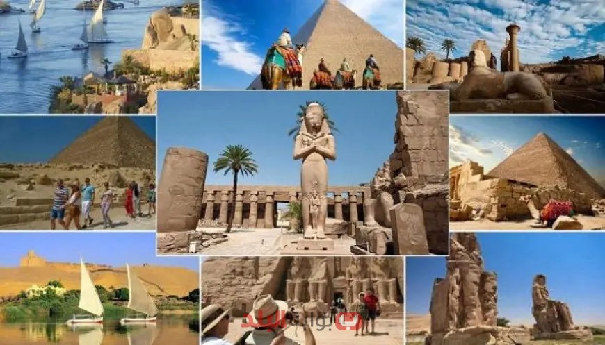 بـ 200 جنيه سنويًا فقط.. خصومات تصل إلى 50% على الأنشطة الثقافية والفنية للطلاب!