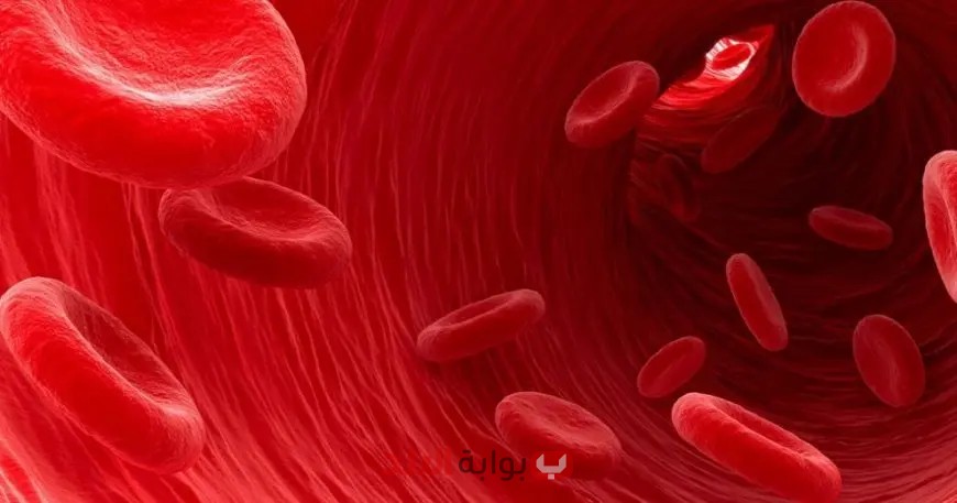 هل تعرف ماذا يعني سرعة ترسيب الدم؟ اكتشف كيف يكشف عن خطورة الأمراض!