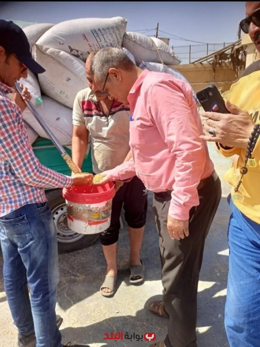 تفاصيل مثيرة: توريد كمية ضخمة من القمح إلى مخازن الشرقية!