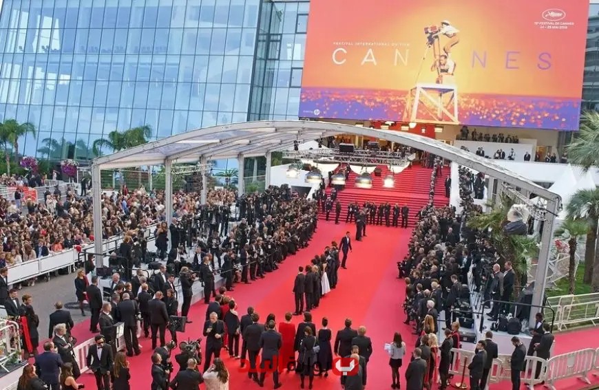 شيرين فرغل تكشف أسرار الجناح المصري الذي فاز بجائزة مهرجان كان