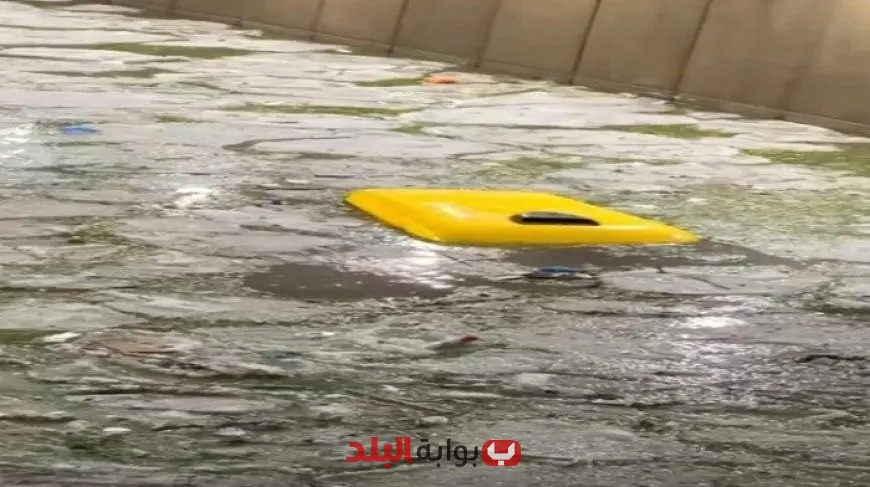 “تطورات الإسكندرية الحصرية: إنقاذ سائق توكتوك من الغرق يتصدر الترند!”