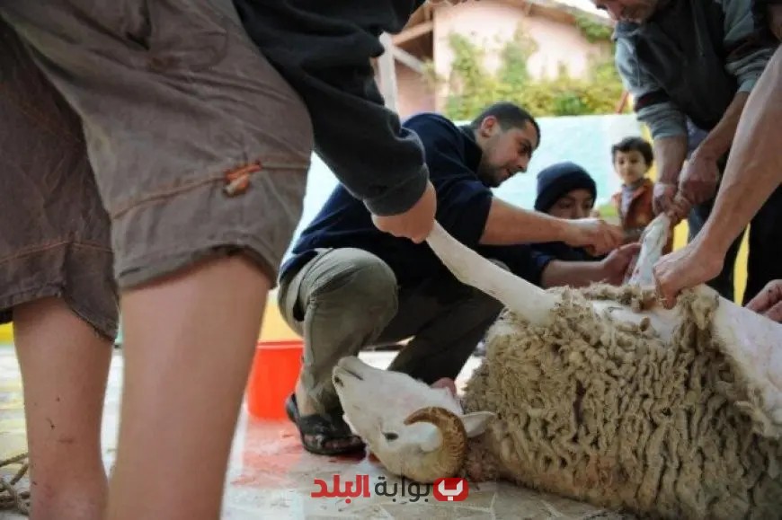 «الصحة» تنبه المواطنين: تجنبوا الذبح العشوائي أمام المنازل خلال عيد الأضحى المبارك!