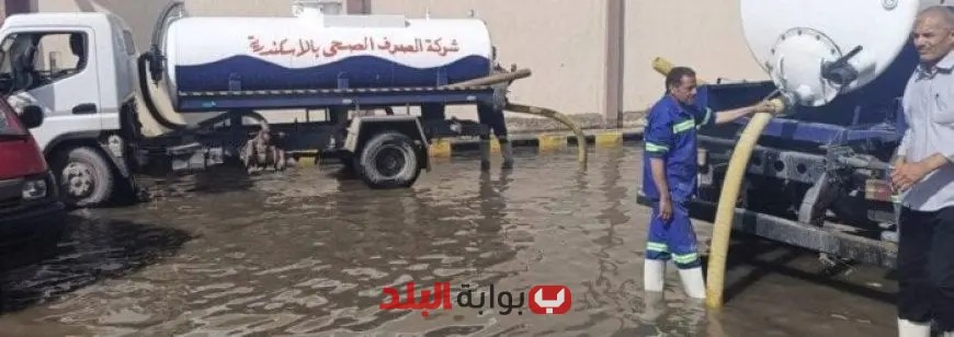 خسائر عاصفة الإسكندرية تتصدر المشهد: تفاصيل رسمية تكشف حجم التلفيات والأضرار
