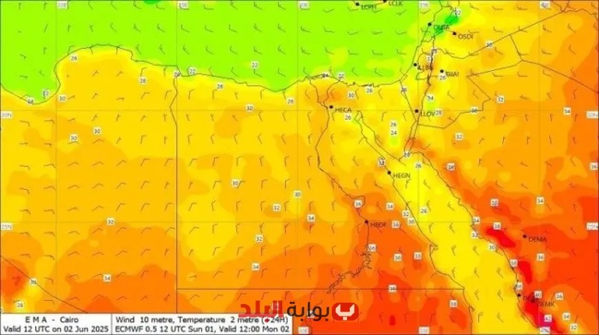 تحذيرات الأرصاد الجوية: 3 ظواهر مناخية خطيرة تضرب البلاد اليوم!