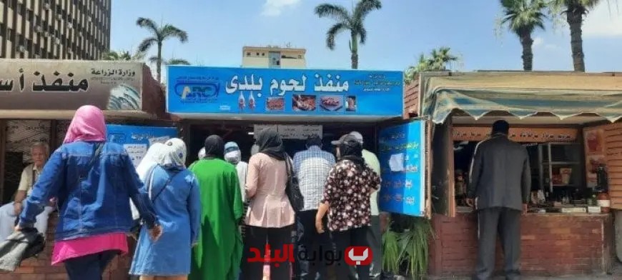 مواطنون يتوافدون بكثافة على منافذ وزارة الزراعة لشراء لحوم عيد الأضحى المبارك