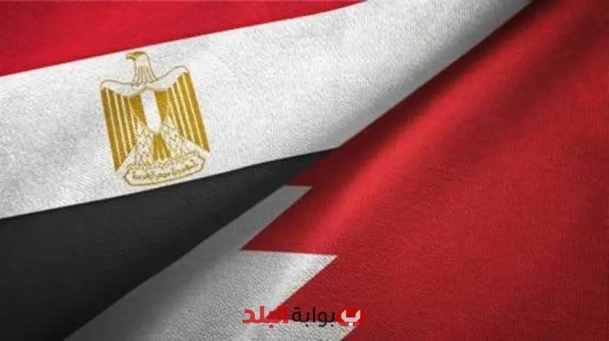 مصر تحتفل بفوز البحرين بمقعد غير دائم في مجلس الأمن الدولي