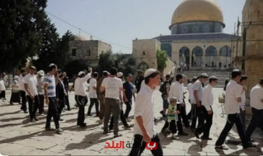 عشرات المستوطنين يقتحمون المسجد الأقصى تحت حماية شرطة الاحتلال: تصعيد خطير في القدس
