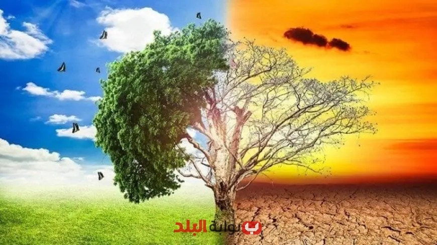 “التغيرات المناخية تهدد استدامة القطاعات الاقتصادية والحيوية: تحذيرات من وزارة الزراعة”
