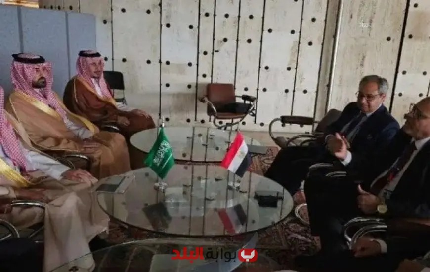 وزير العمل يعلن عن أهمية التواصل المستمر لمواجهة تحديات العمالة المصرية في السعودية