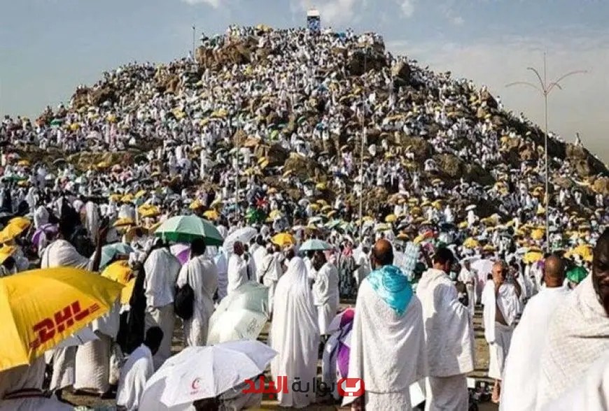 هل صعود جبل عرفات في الحج ضرورة؟ الإفتاء تحذر من المخاطر