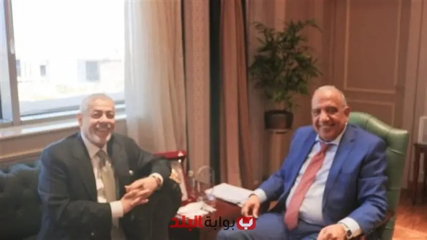 وزير الكهرباء يناقش تعزيز التعاون في الطاقة المتجددة مع إيميا باور الإماراتية
