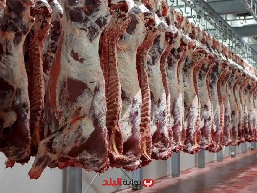“صندوق تحيا مصر يوزع لحوم الأضاحي على 1.5 مليون مواطن خلال أيام عيد الأضحى”