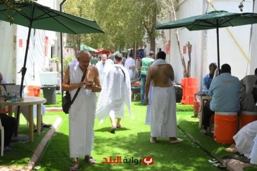 استعدادًا للنفرة من عرفات: حجاج الجمعيات الأهلية يستعدون للانطلاق إلى مزدلفة عند غروب الشمس