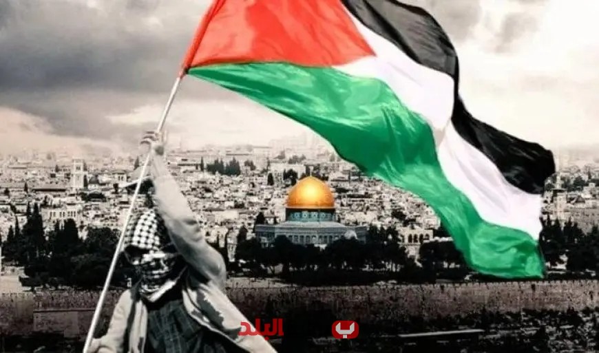 «محامون من أجل فلسطين»: الدعم الأمريكي لحماية إسرائيل ينتهك حقوق الإنسان ويعزز الظلم في المنطقة