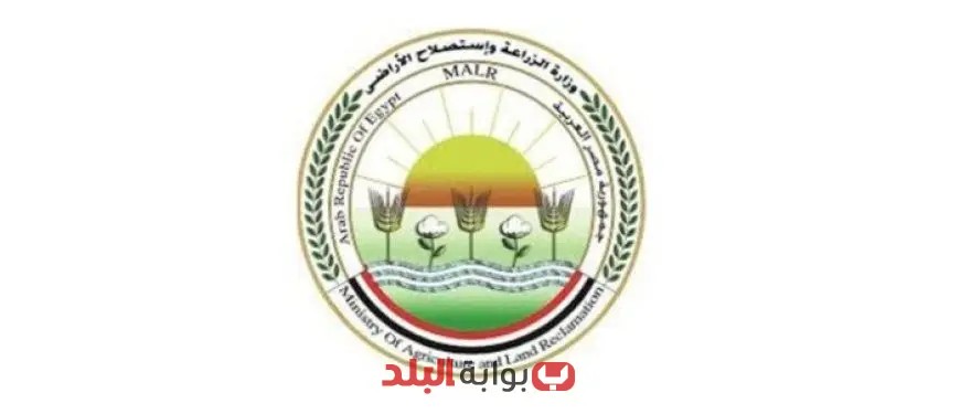 «وزارة الزراعة تواصل دعم صادرات وواردات القطاع الزراعي رغم إجازة العيد»