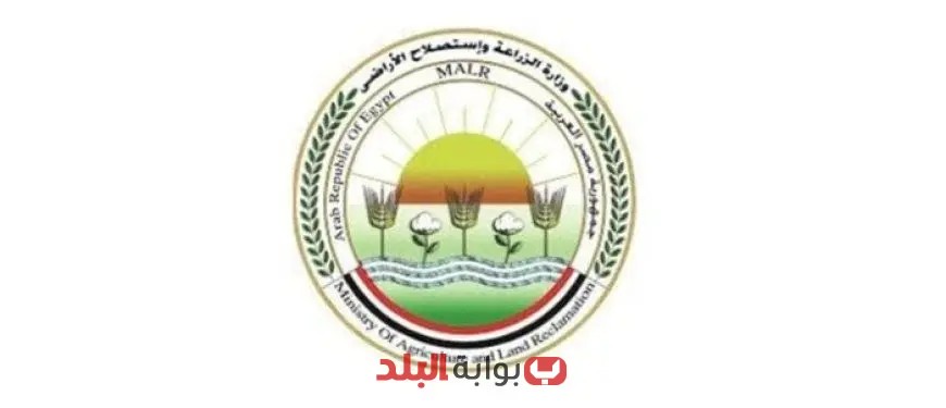 في اليوم الثاني من عيد الأضحى: وزارة الزراعة تستعرض أنشطة القطاع وتراقب أعمال الجمعيات في بني سويف