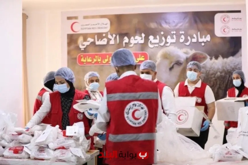 الهلال الأحمر المصري يوزع أضاحي العيد السعيد على الأسر الأكثر احتياجًا في مبادرة إنسانية مميزة