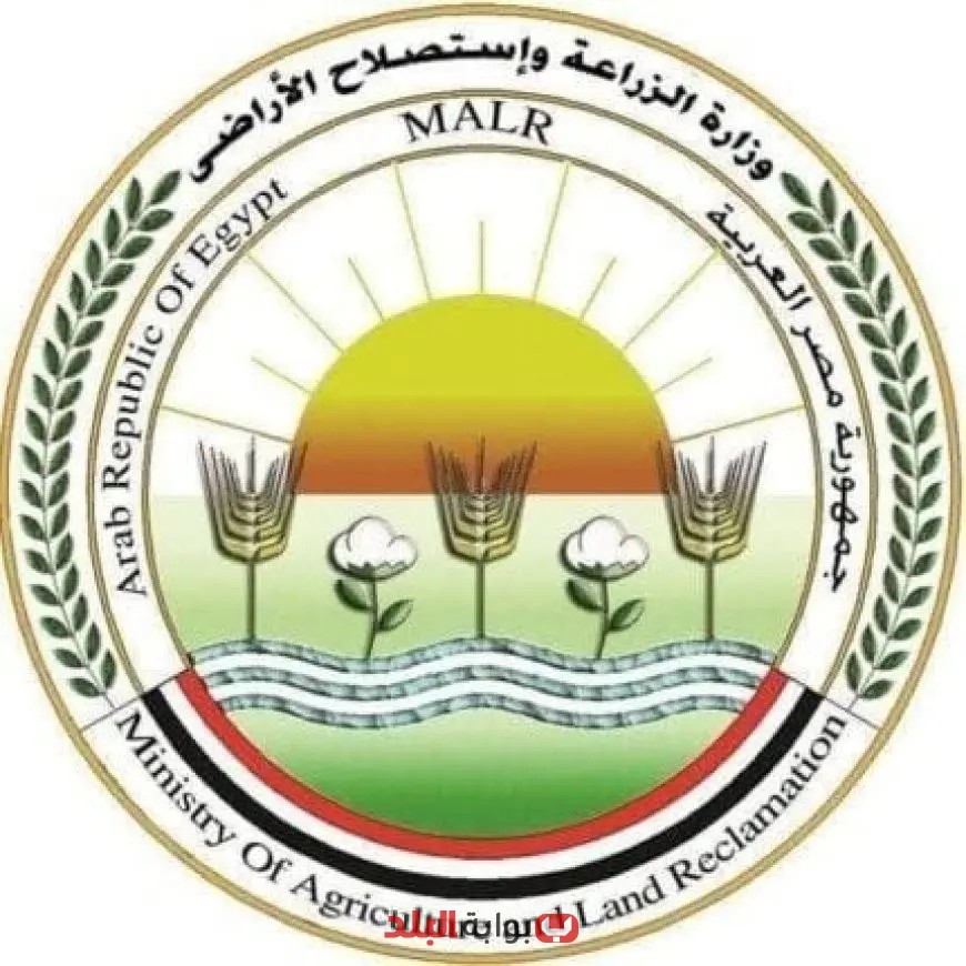 “الزراعة: توفير أكثر من 28 ألف أضحية بالمجان للمواطنين خلال عيد الأضحى”