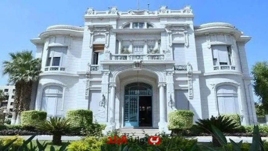 نتائج بكاليوس 2024-2025: عين شمس تكشف النقاب عن نتائج الطلاب!