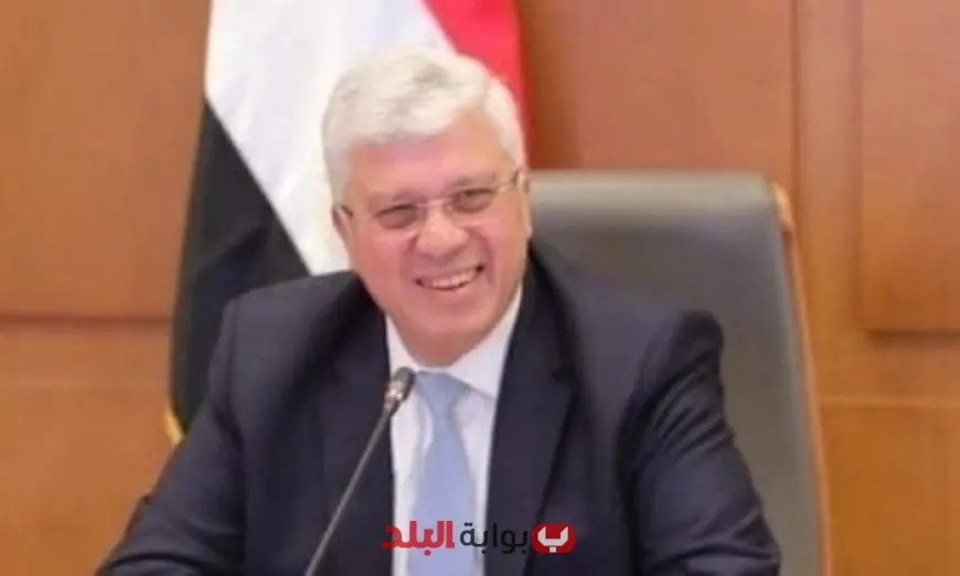 عاشور: برنامج «جسور التنمية» يظهر التزام الدولة بدعم ربط الكفاءات المصرية في الداخل والخارج