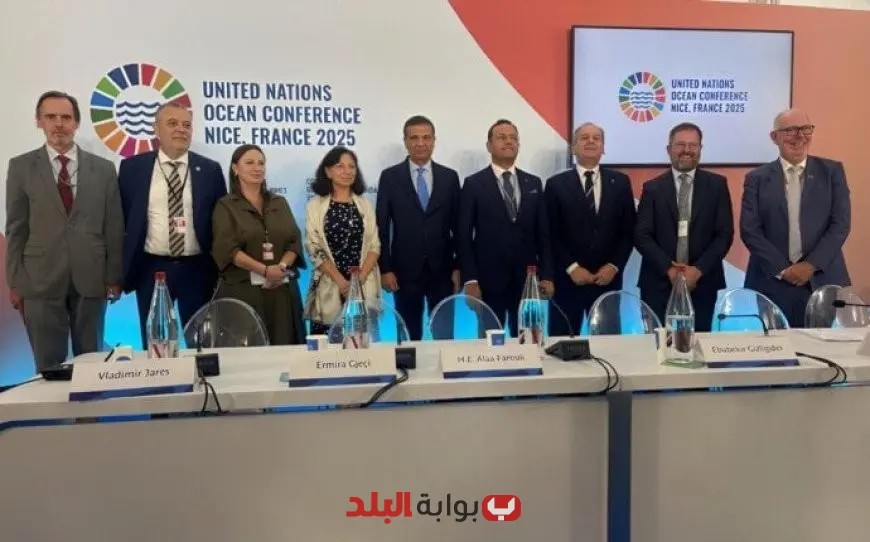وزير الزراعة يكشف استراتيجية مصر الرائدة لتطوير قطاعي المصايد والاستزراع السمكي