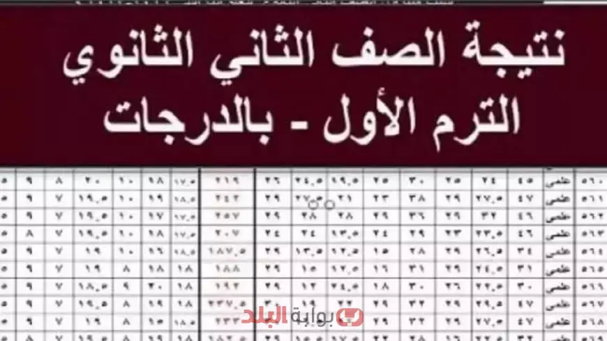 رابط نتيجة الصف الثاني الثانوي 2025 الترم الثاني برقم الجلوس عبر موقع وزارة التربية والتعليم