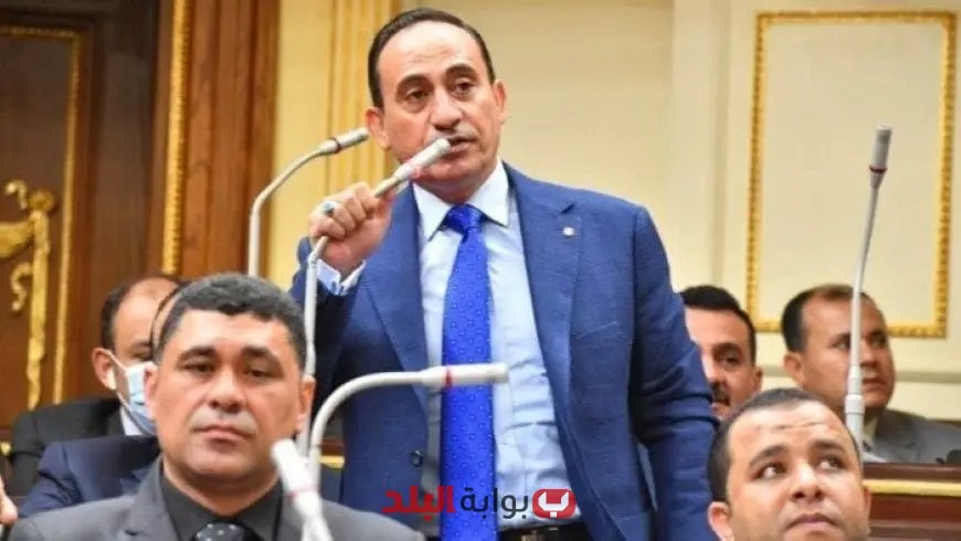 نائب: قانون ملكية الدولة للشركات يعمّق دور القطاع الخاص في تعزيز الاستثمارات